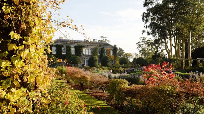 The house seen through the formal garden in autumn at Mount Stewart